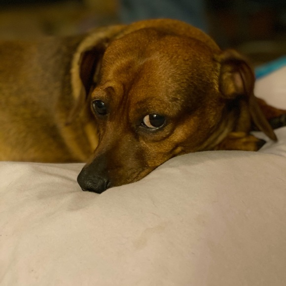 Meet your Posher, Donna - Picture 5 of 8